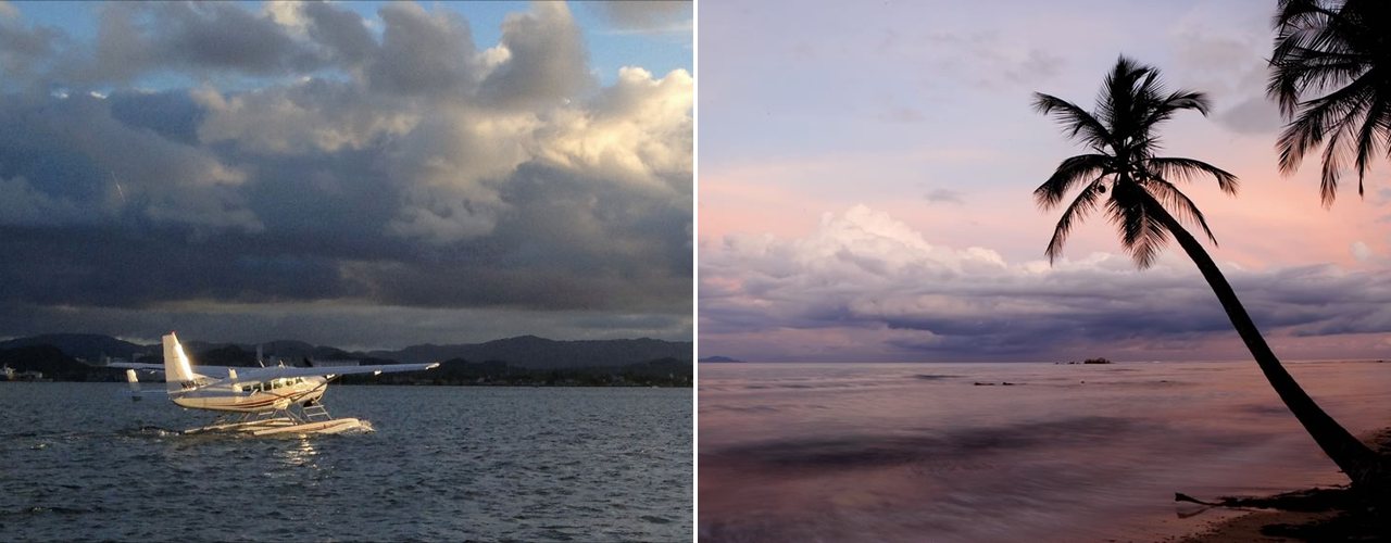 A seaplane on the bay at sunset and a palm over the shore at Palmas del Mar, Puerto Rico
